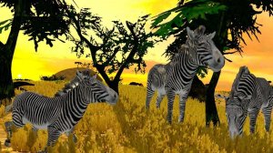 Zebra Explorer 3D Arcade