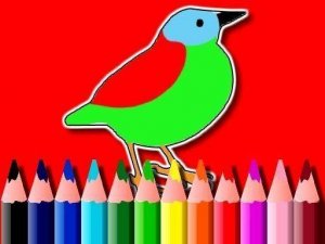 Feathered Friends Painting Studio