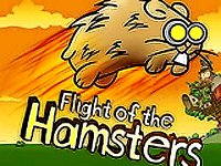 Flight of the Hamsters Online Arcade Game