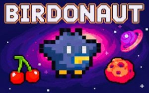 Pixel Avian Cosmos Runner